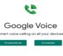 Google Voice 批发
